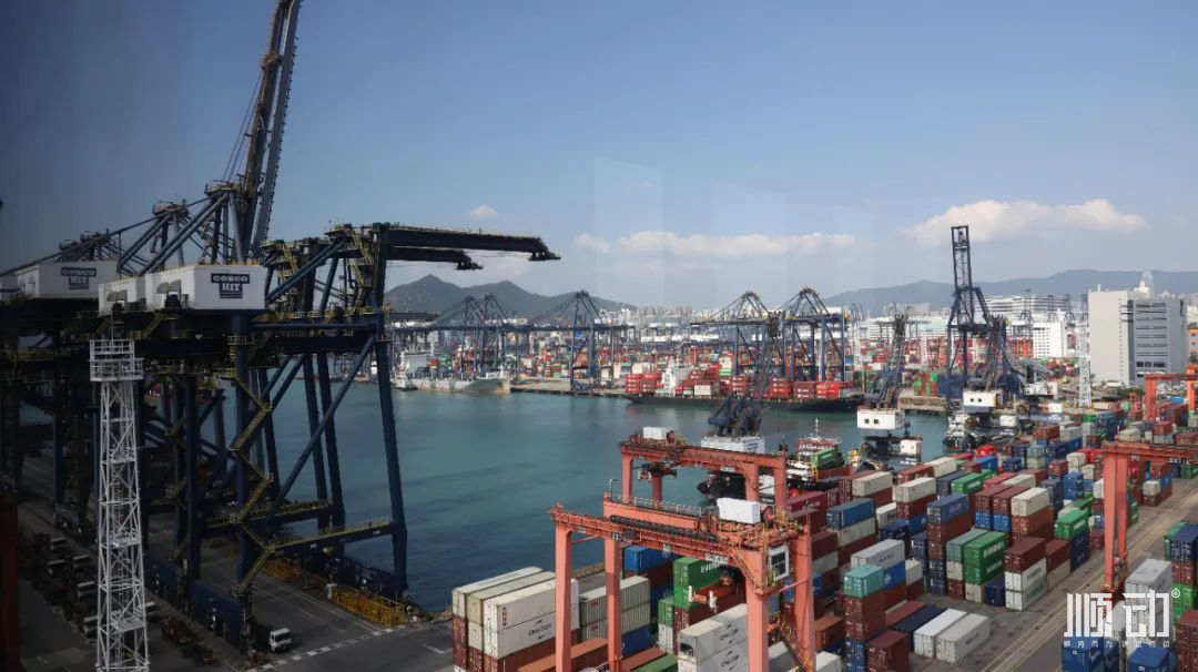 順動(dòng)香港拍攝vlog，體驗(yàn)感滿滿~